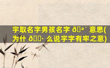 宇取名字男孩名字 🪴 意思(为什 🌷 么说宇字有牢之意)